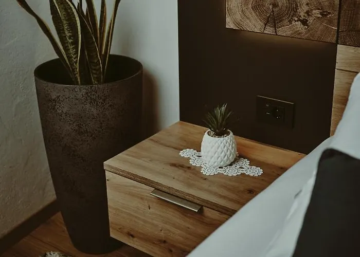 Apartment Schneider Living